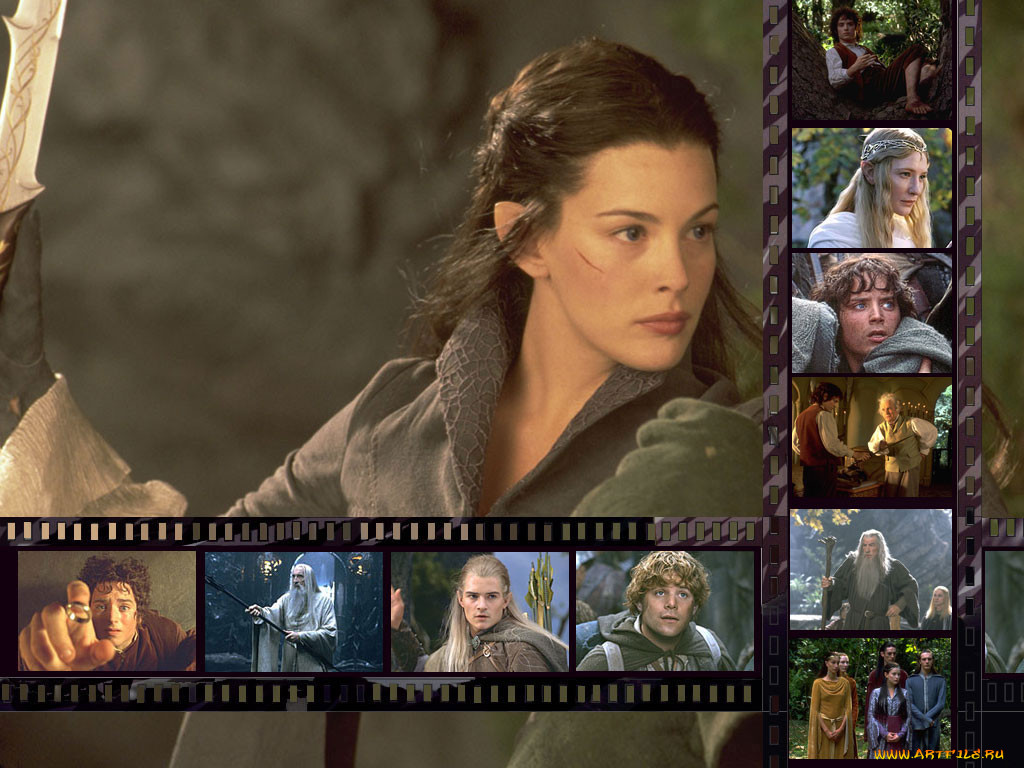 , , the, lord, of, rings, fellowship, ring